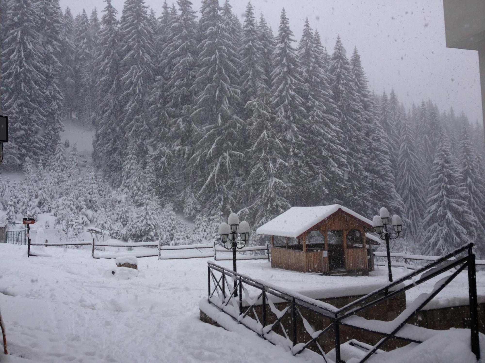 Ski Apartment In Castle Complex Παμπόροβο Εξωτερικό φωτογραφία
